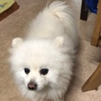 冬に逆戻り。。。
