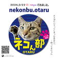 2月22日ネコん部をもっと楽しむぞ〜♪